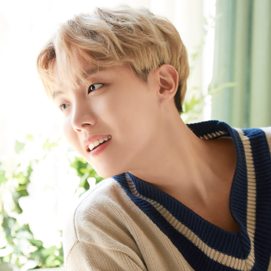 제이홉 (방탄소년단) 팬이 찍은 순간