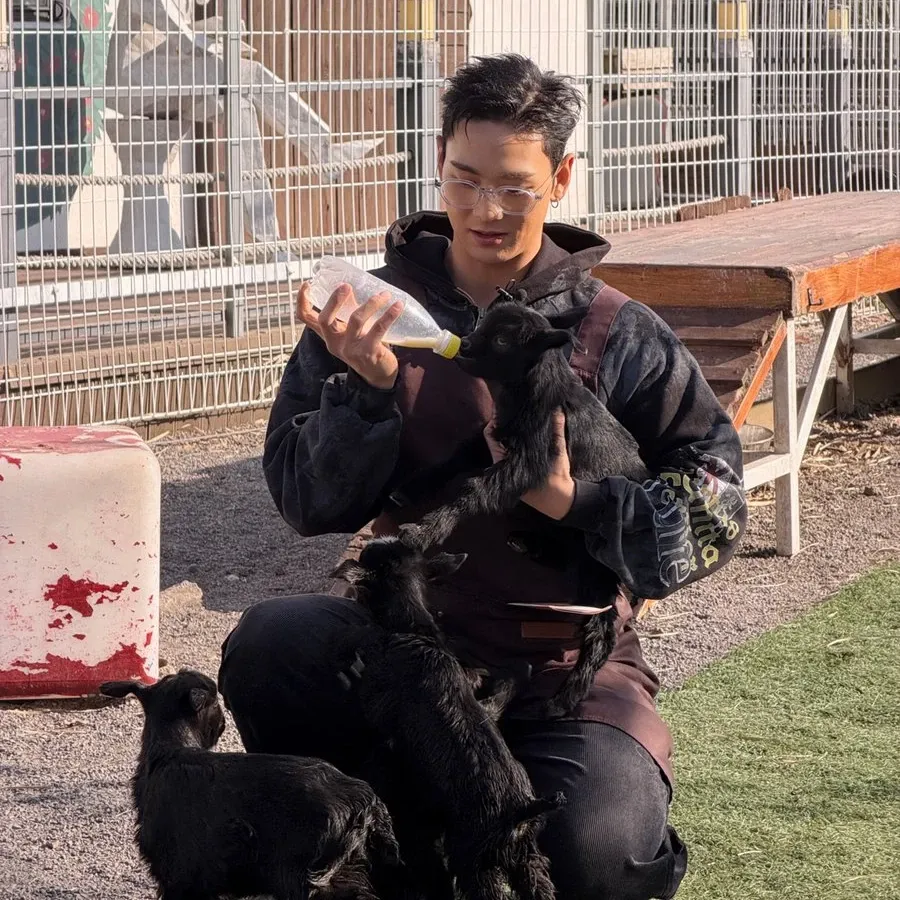 백호 최근 활동샷