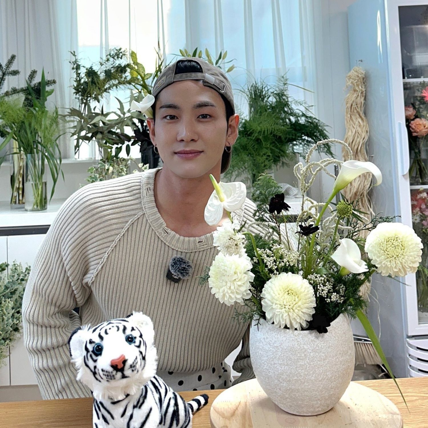 ベクホの最近の活動写真