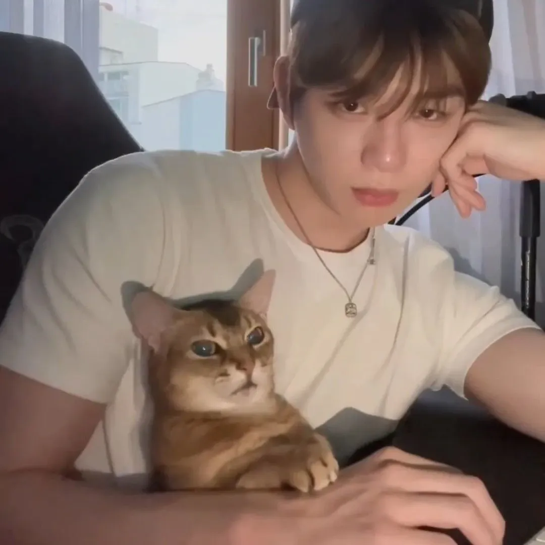 강다니엘 팬이 찍은 순간