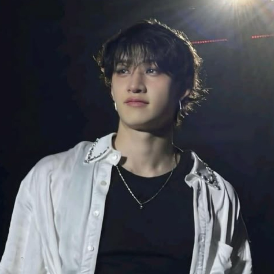 A moment captured by Bang Chan (Stray Kids)'s fan
