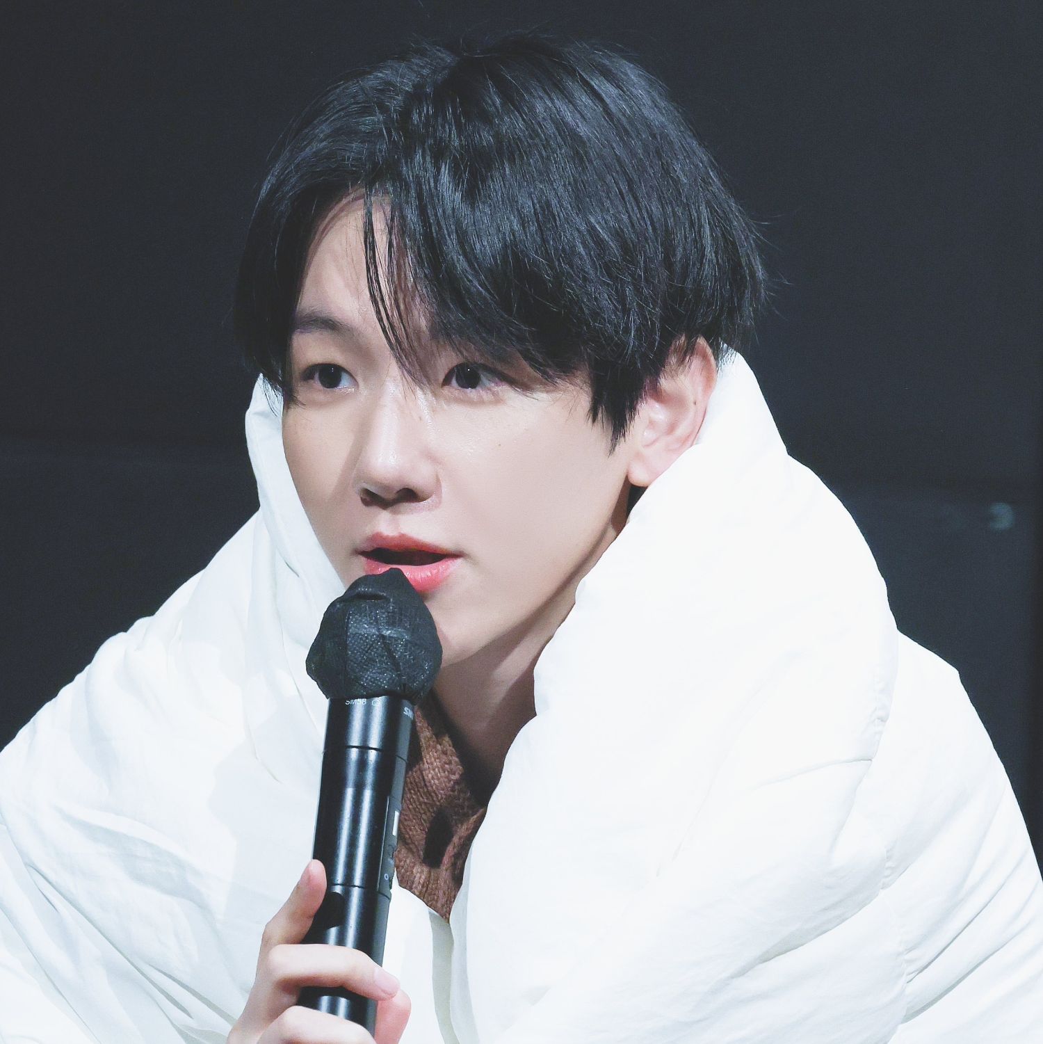 伯賢 (EXO)的幕後花絮