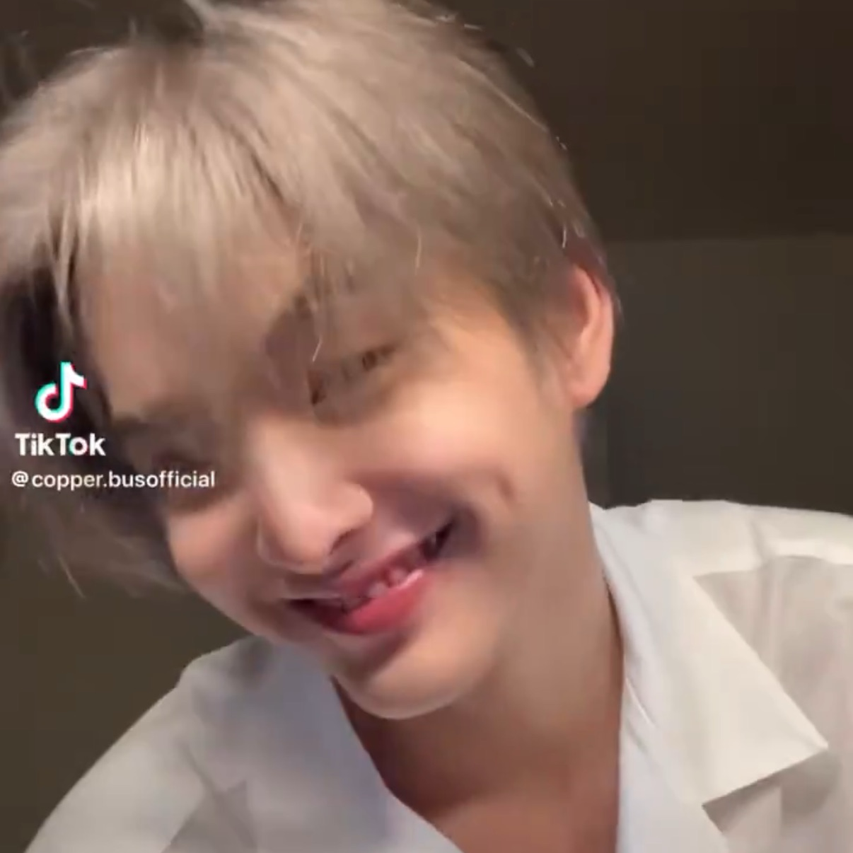 코퍼 (BUS) 최근 활동샷