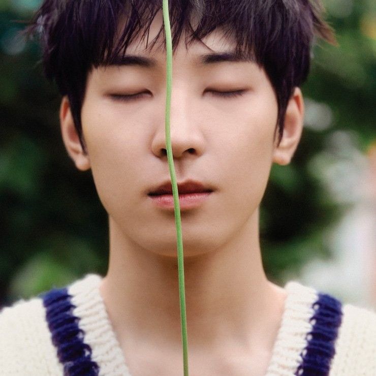 세븐틴의 비하인드 컷