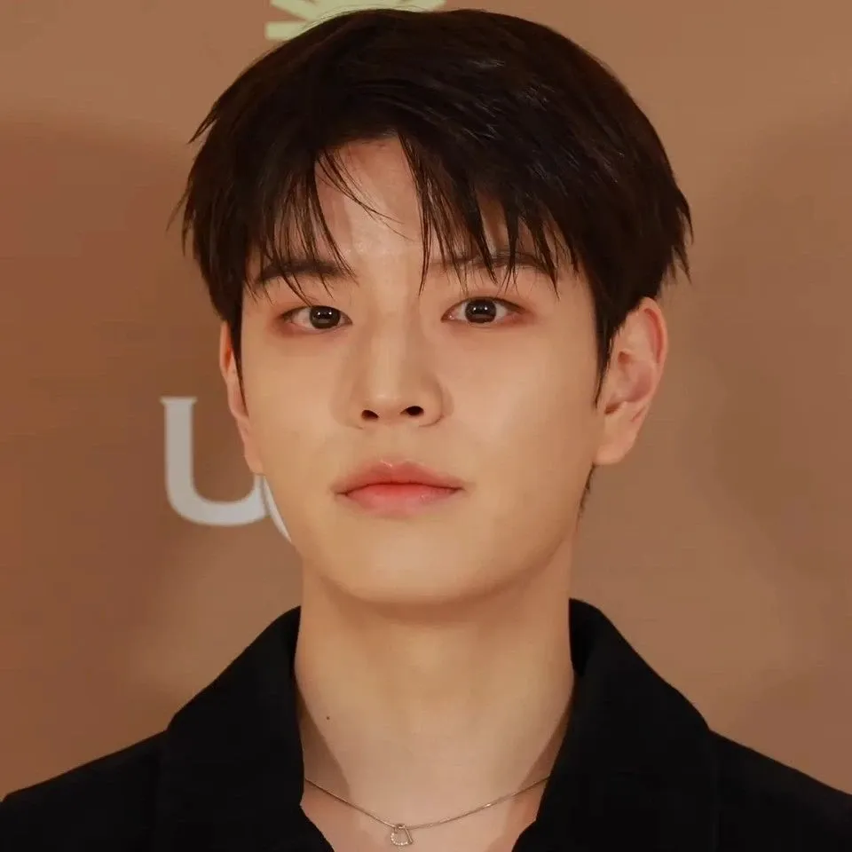 A moment captured by Seungmin (Stray Kids)'s fan