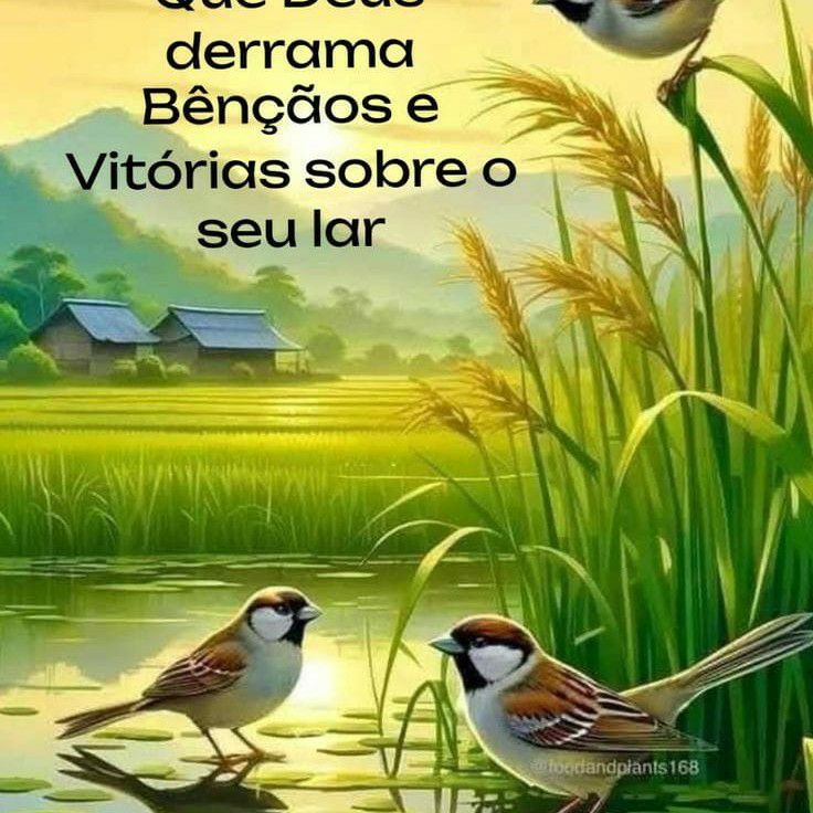 몬스타엑스 팬이 찍은 순간