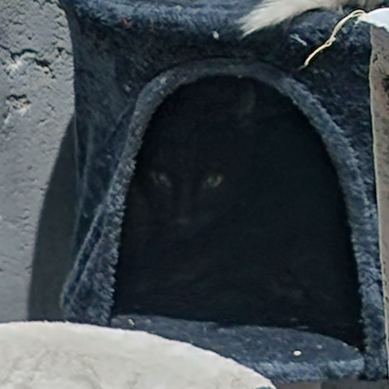 SEVENTEEN的幕後花絮