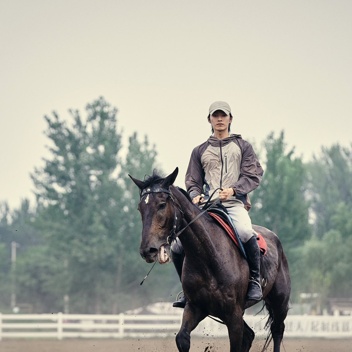 세븐틴 팬이 찍은 순간