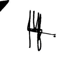 伯賢 (EXO)粉絲拍下的瞬間