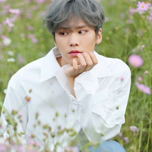 Latest photo of Rocky