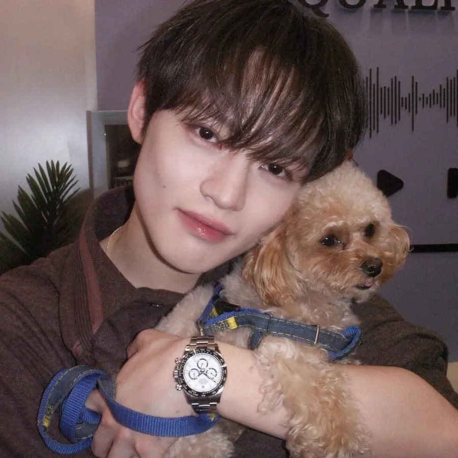 Latest photo of Chenle (NCT DREAM)