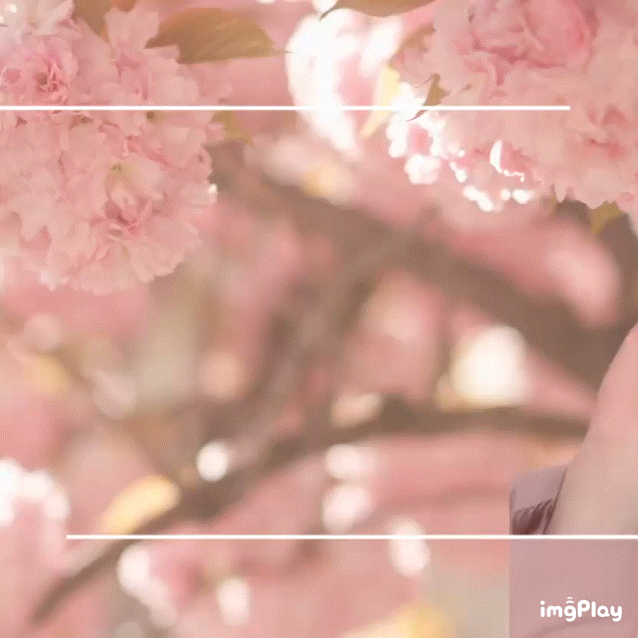 Behind-the-scenes cut of Yuma (&TEAM)