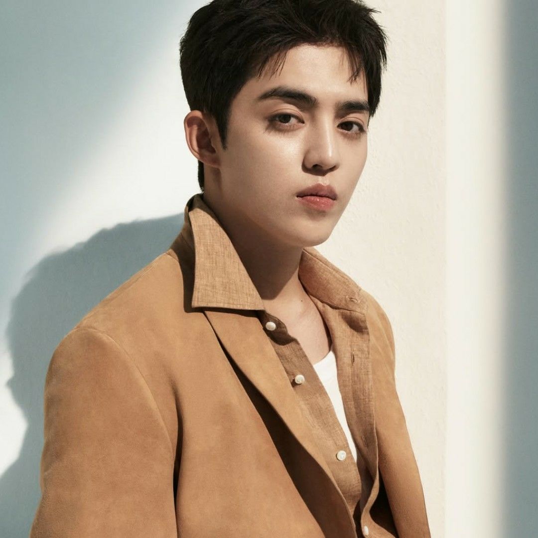 Momen yang diabadikan oleh penggemar S.Coups (SEVENTEEN)