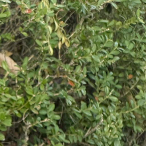 유나 (ITZY)의 최신 사진