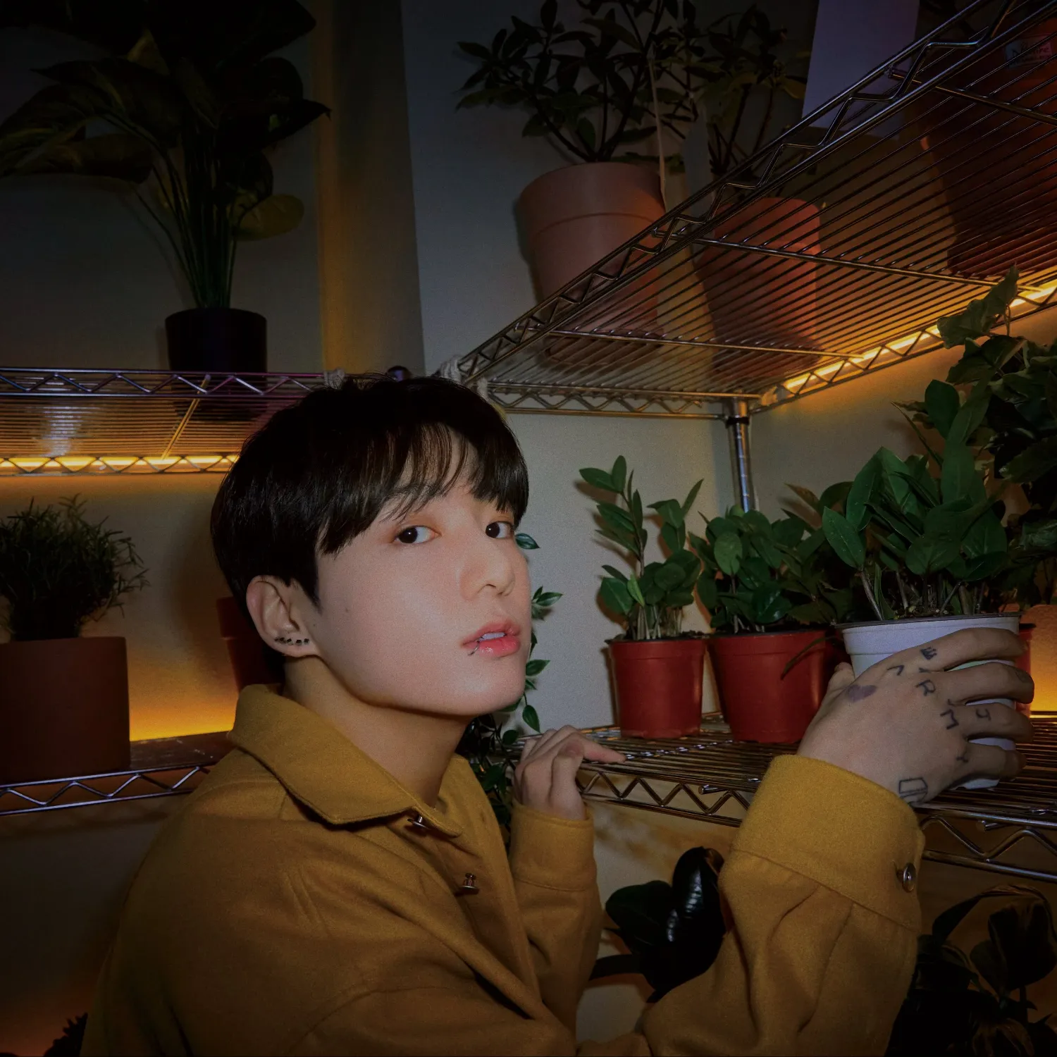Momen yang diabadikan oleh penggemar Jungkook (BTS)