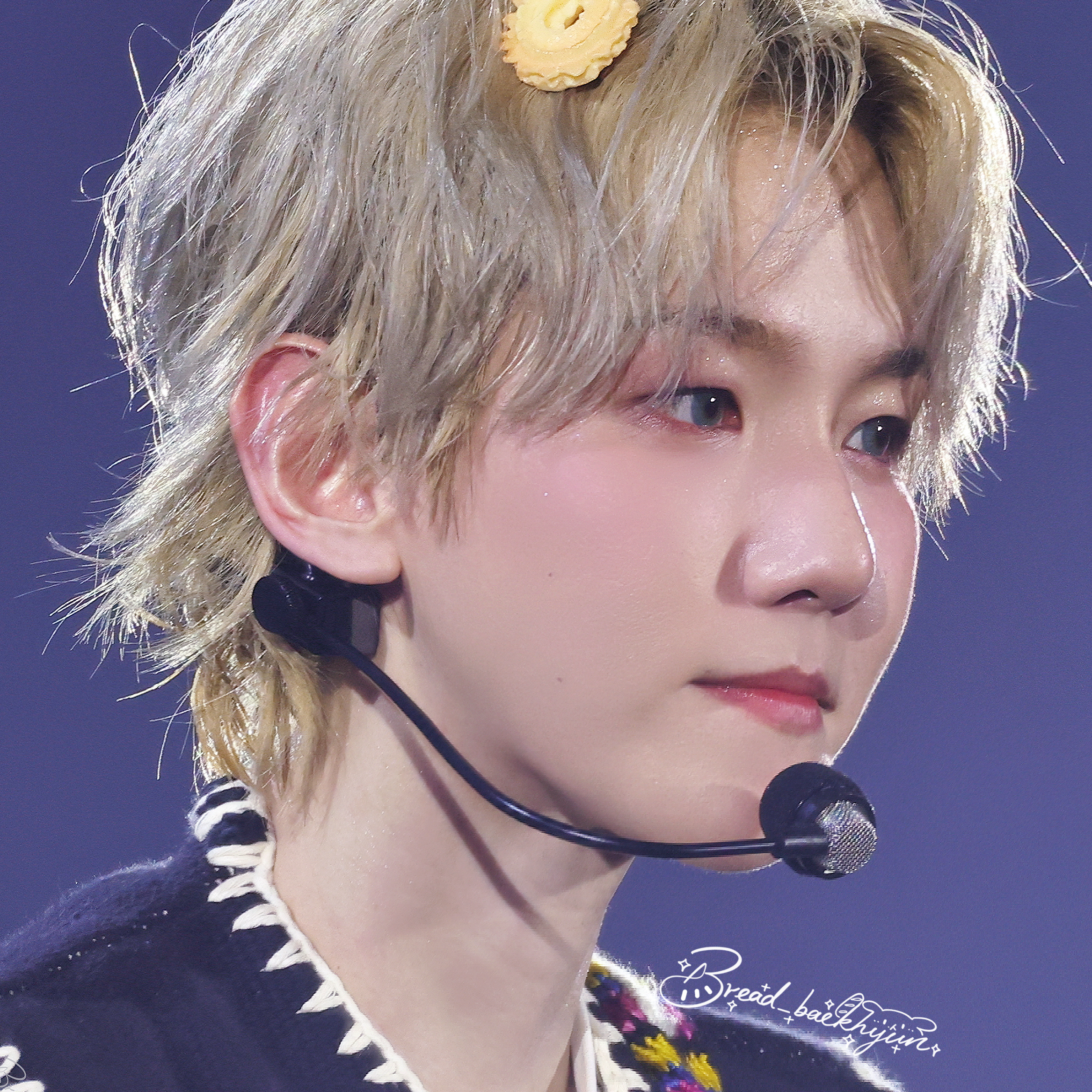 伯賢 (EXO)的最新活動照片