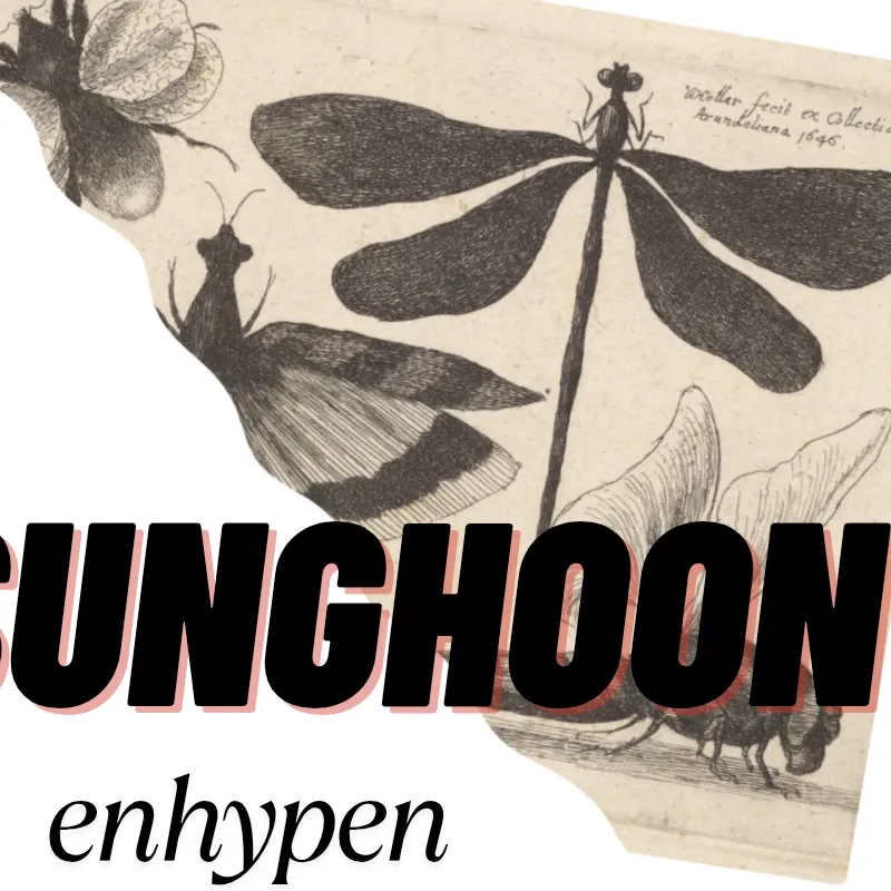 A moment captured by Sunghoon (ENHYPEN)'s fan