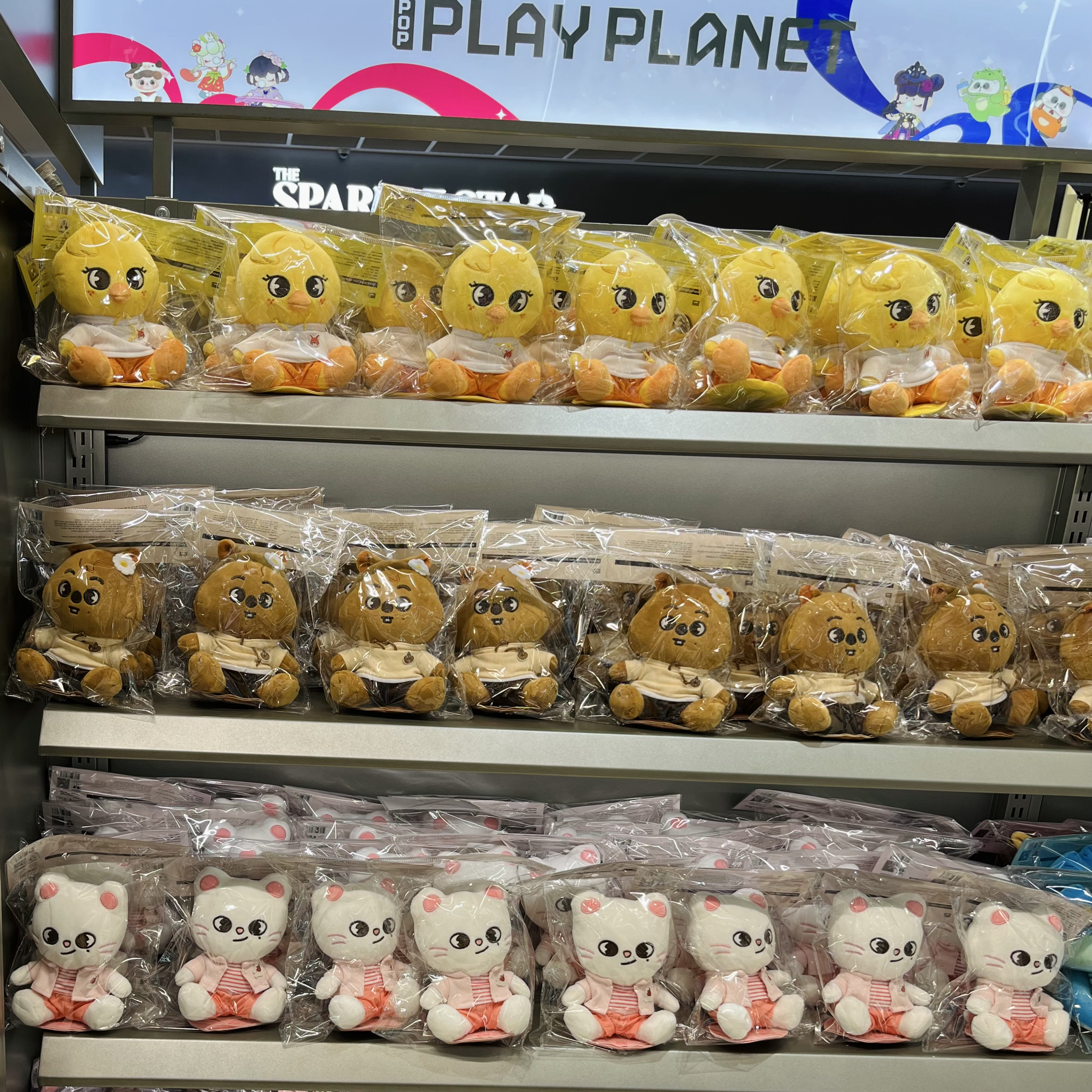 Stray Kids 최근 활동샷