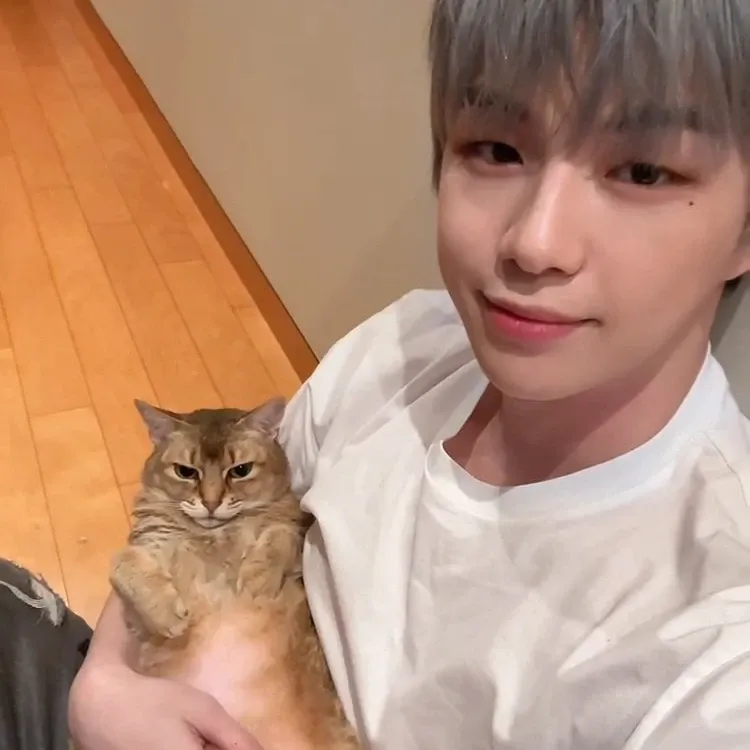 A moment captured by Kang Daniel's fan