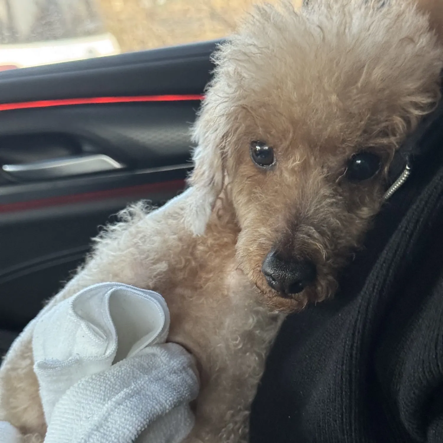 Recent activity shot of Yeji (ITZY)