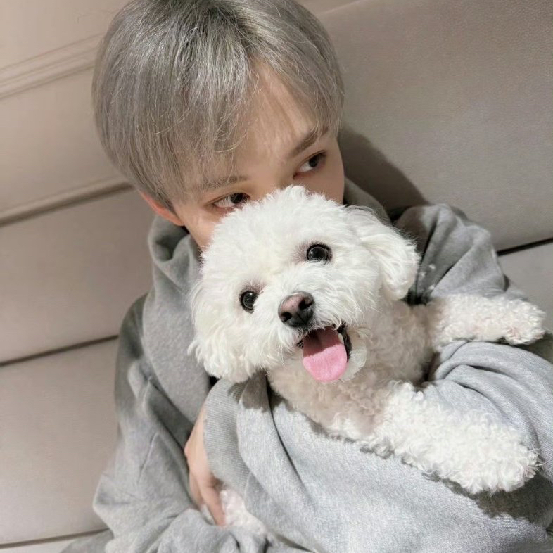 A moment captured by Chenle (NCT DREAM)'s fan