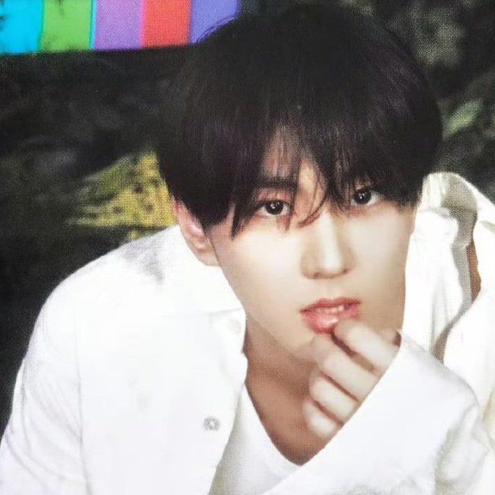 ENHYPEN 팬이 찍은 순간