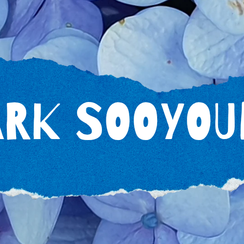 Latest photo of Joy (Red Velvet)