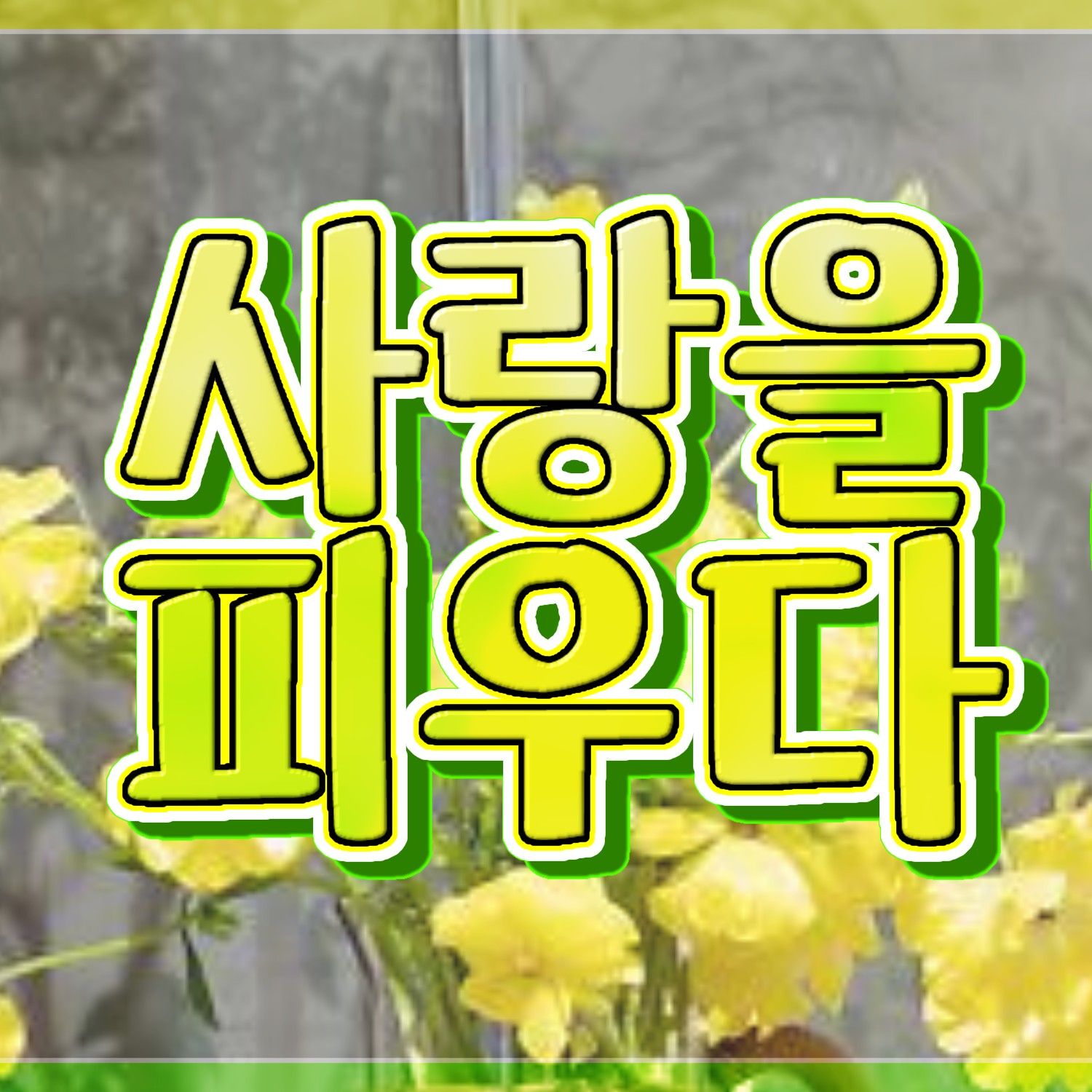 A moment captured by Yuju (GFRIEND)'s fan