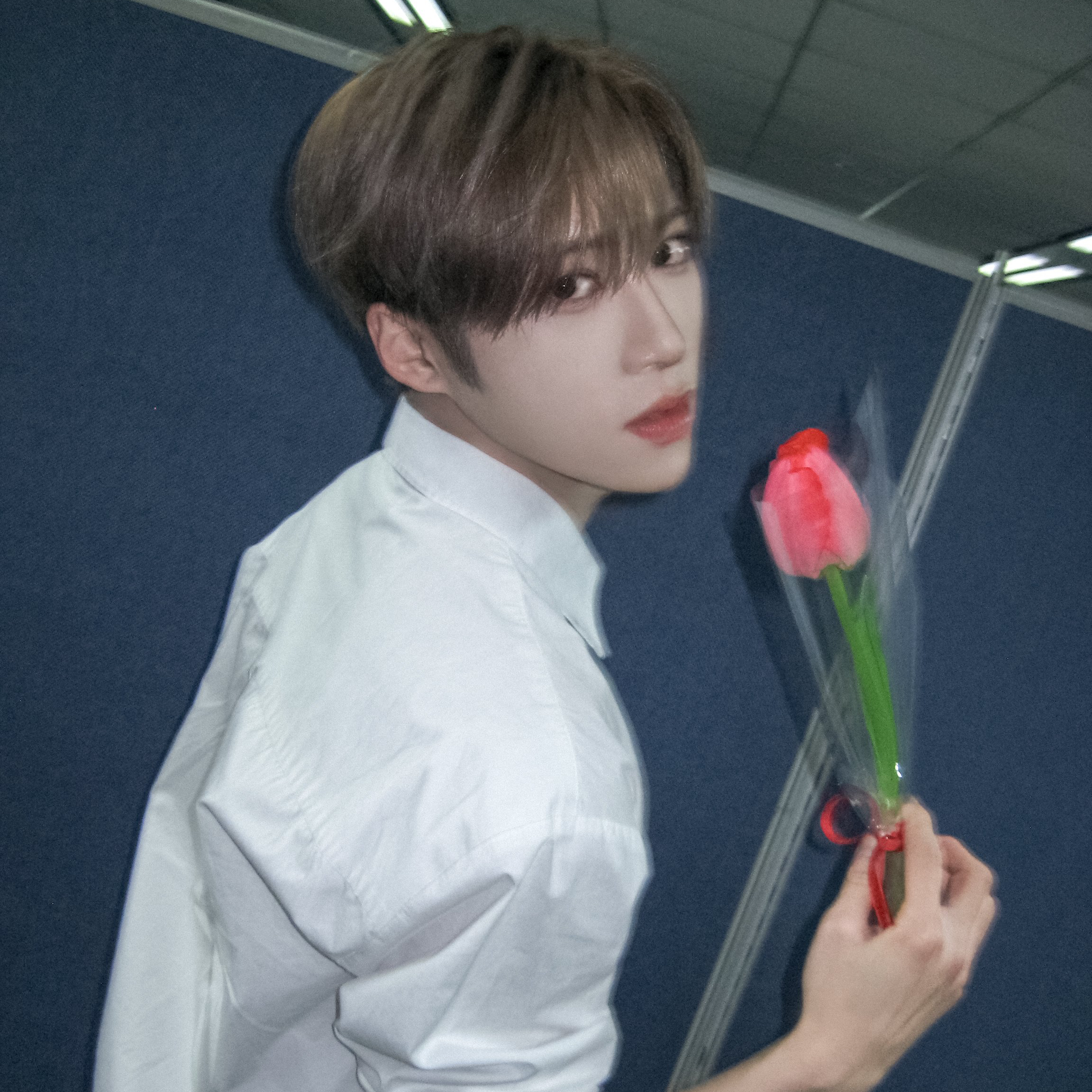 Arno (ALPHA DRIVE ONE)ファンが撮った瞬間