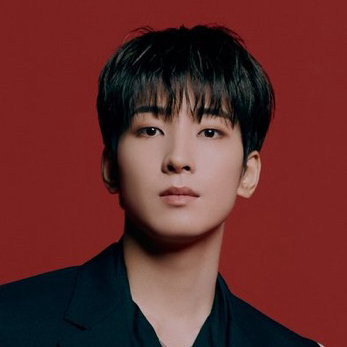 A moment captured by Wonwoo (SEVENTEEN)'s fan