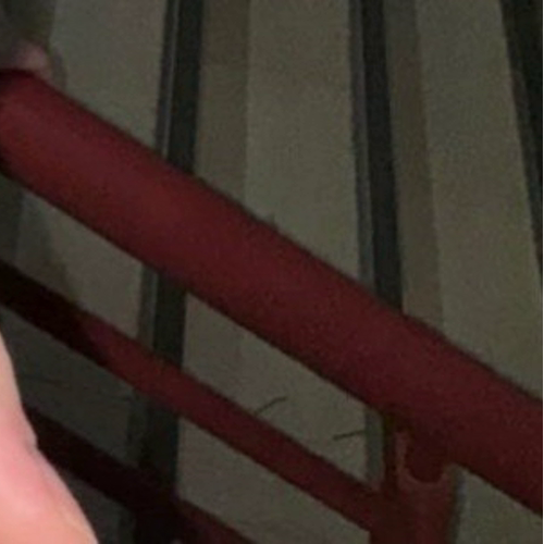 チェリョン (ITZY)の最新写真