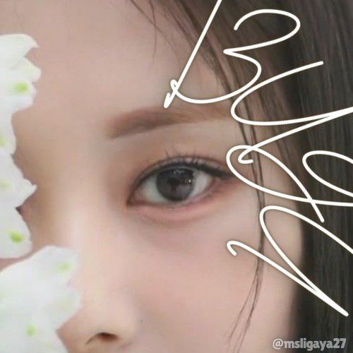 쯔위 (TWICE)의 최신 사진