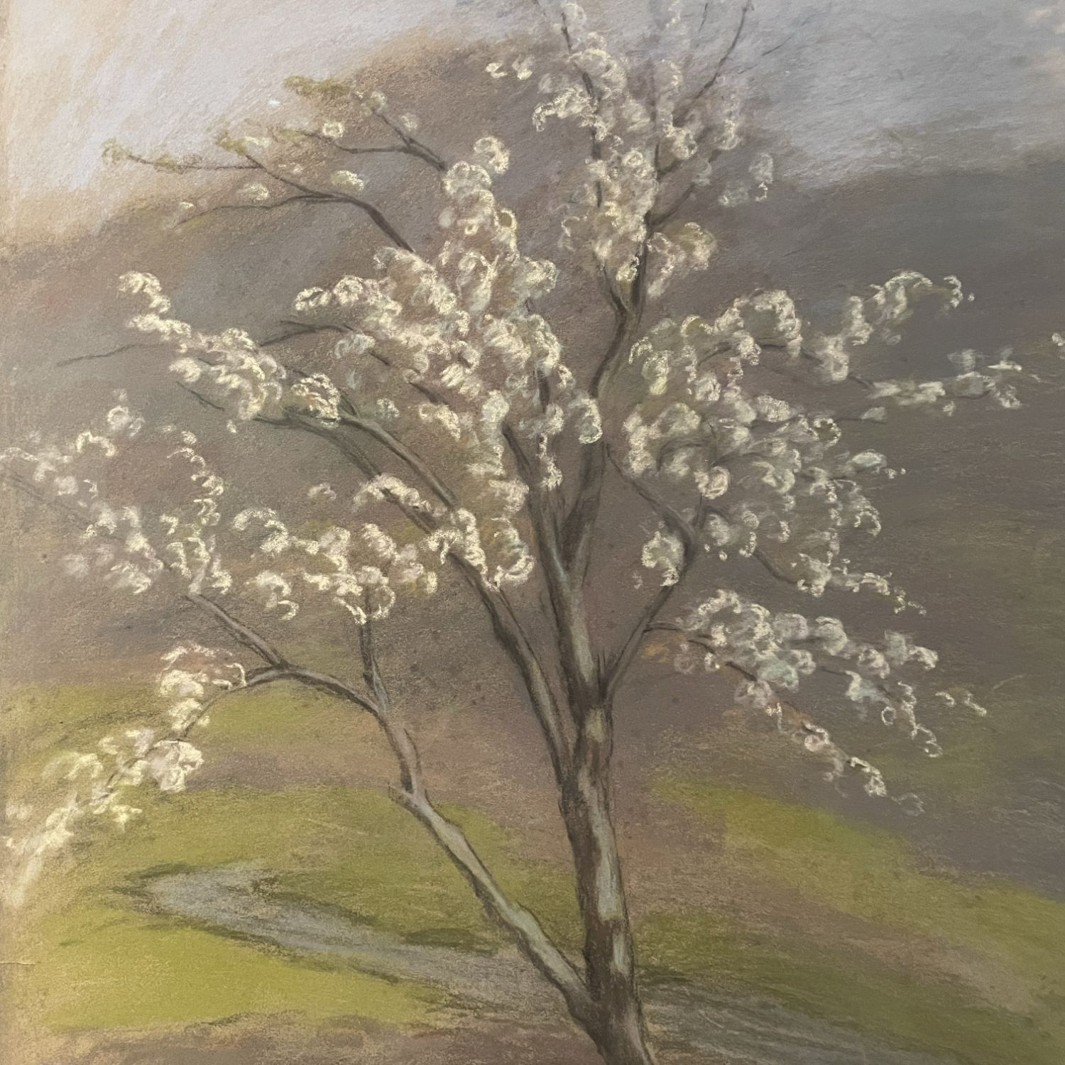 EXO의 최신 사진