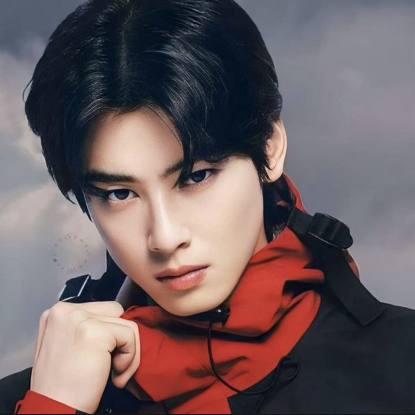 A moment captured by Eunwoo (ASTRO)'s fan