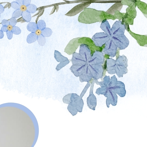 Latest photo of Minnie (i-dle)