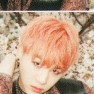 SUGA (BTS)の最近の活動写真