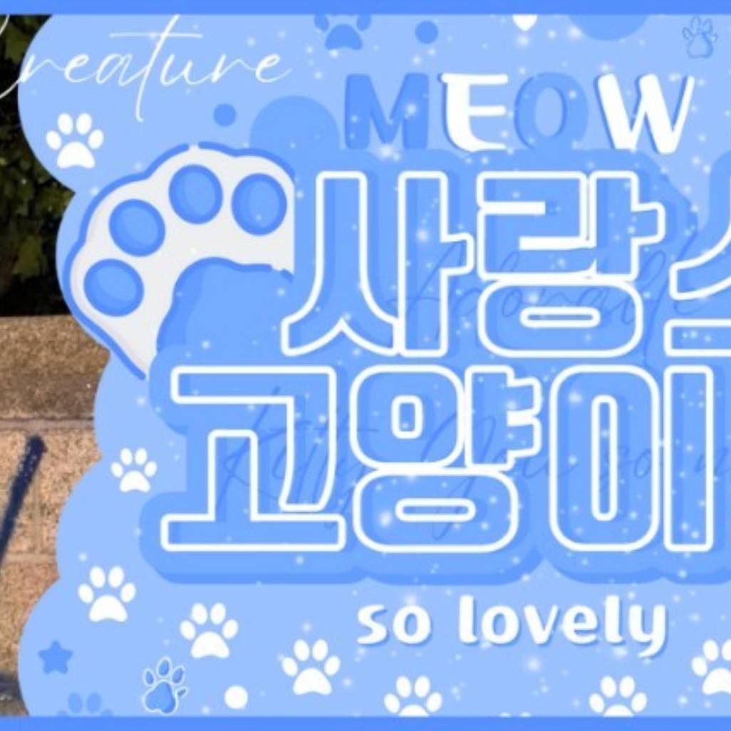 Recent activity shot of Seungkwan (SEVENTEEN)