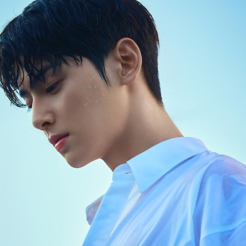 아스트로 팬이 찍은 순간