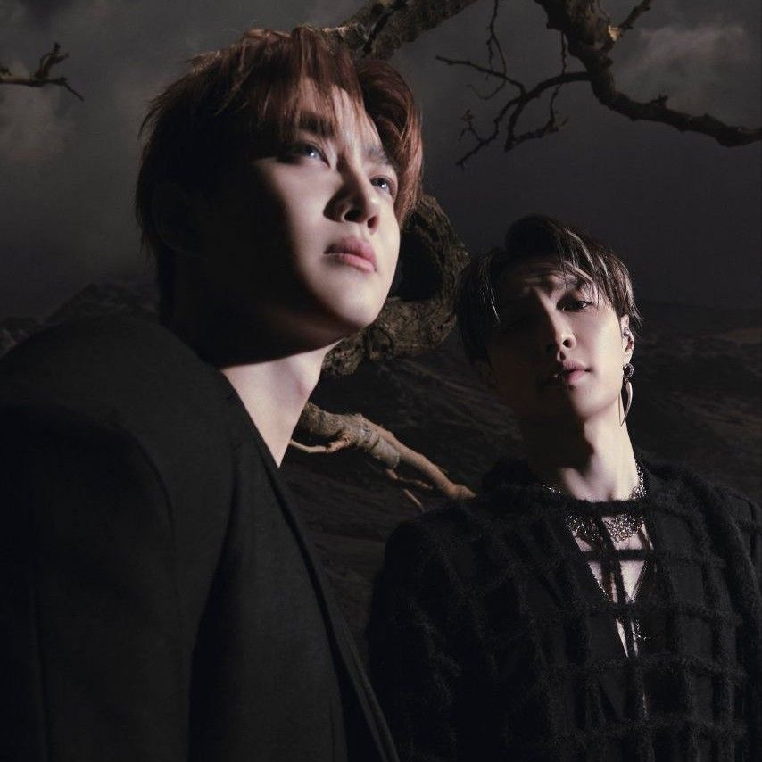 A moment captured by EXO's fan