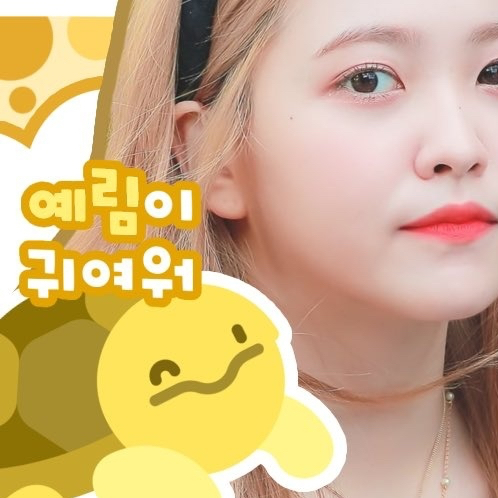 A moment captured by Yeri (Red Velvet)'s fan