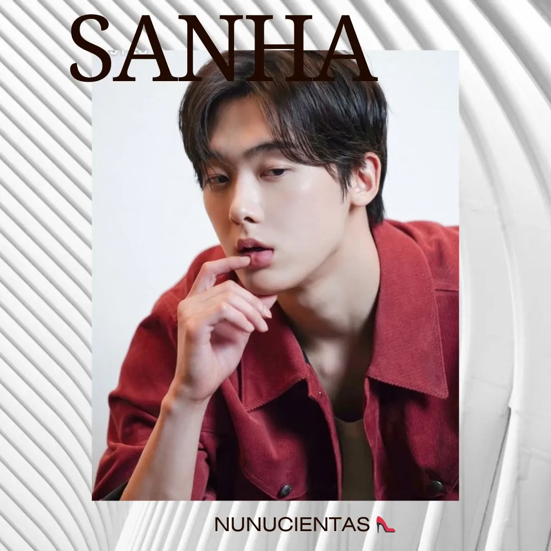 A moment captured by Sanha (ASTRO)'s fan