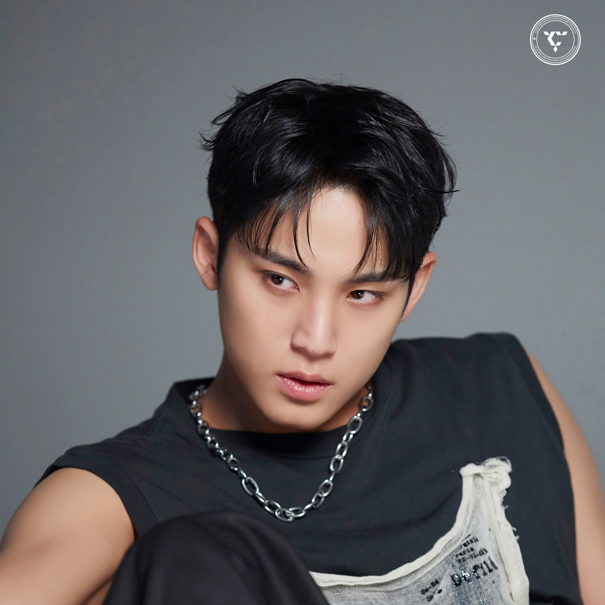 Recent activity shot of Mingyu (SEVENTEEN)