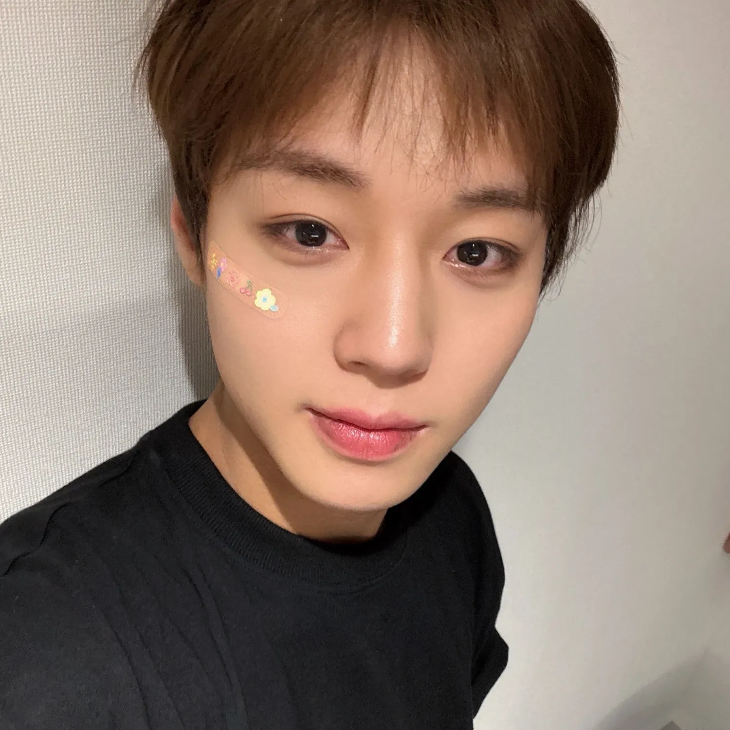 박지훈 팬이 찍은 순간