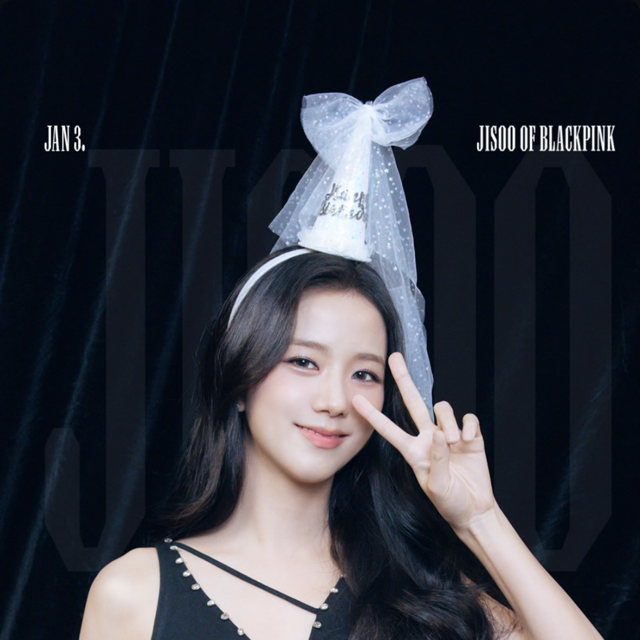 BLACKPINK 팬이 찍은 순간