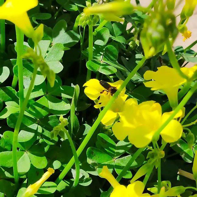 EXO의 최신 사진