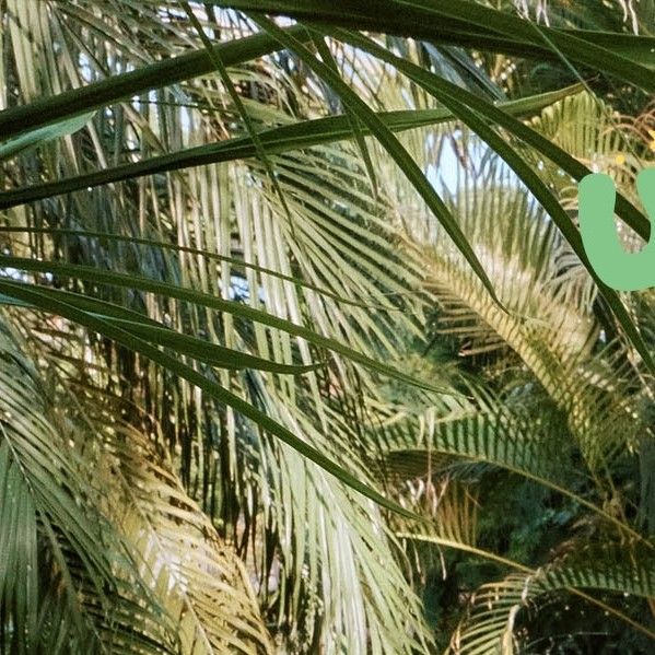 Behind-the-scenes cut of Seoho (ONEUS)