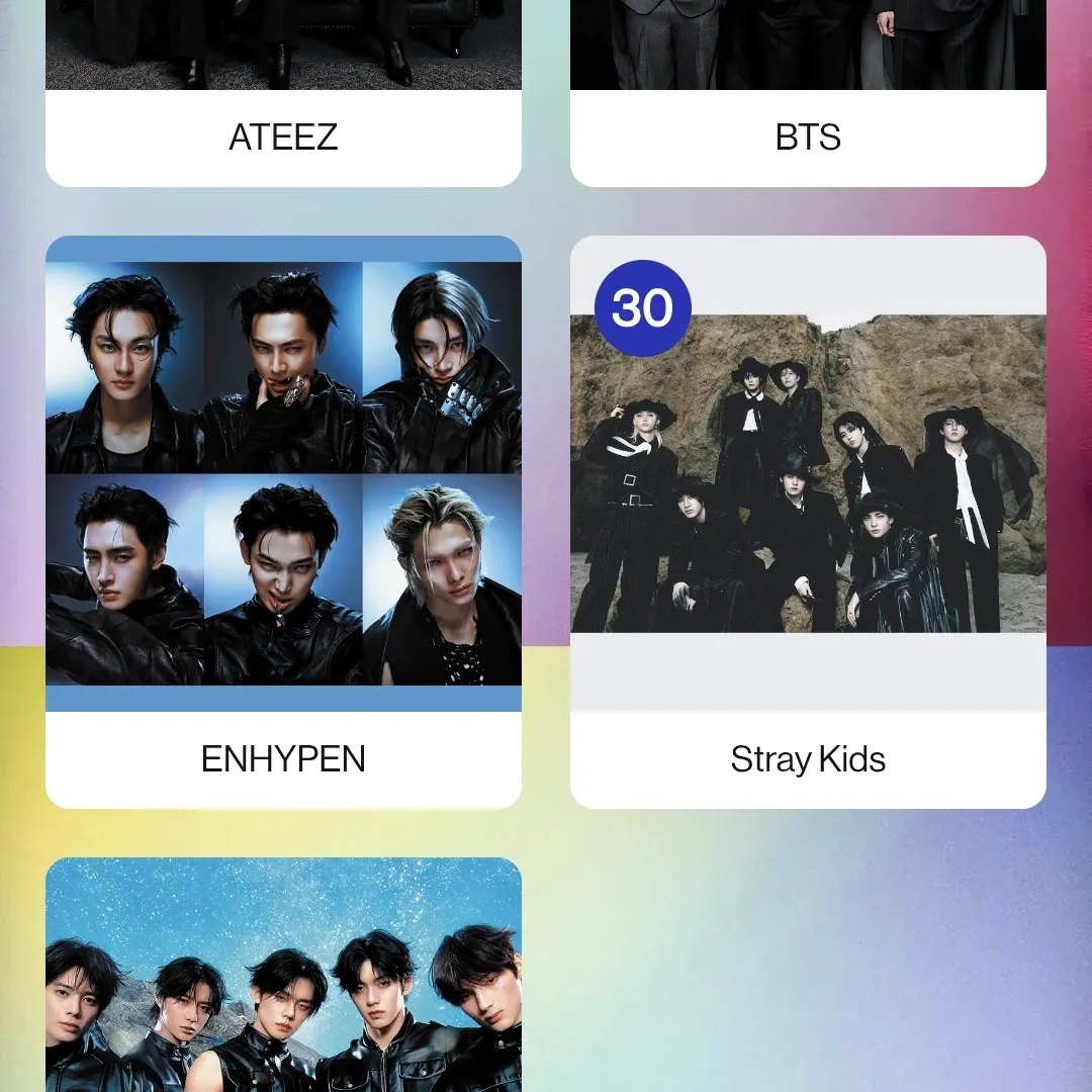 Stray Kids 최근 활동샷