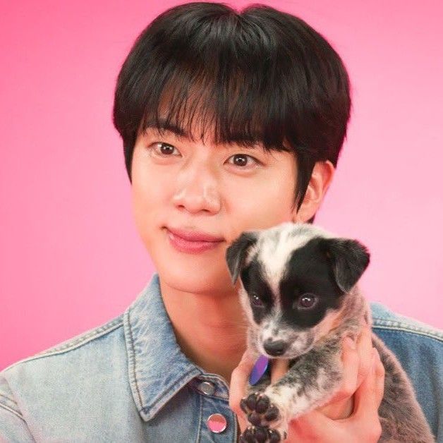 진 (방탄소년단) 팬이 찍은 순간