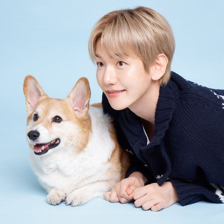 Foto aktivitas terbaru Baekhyun (EXO)