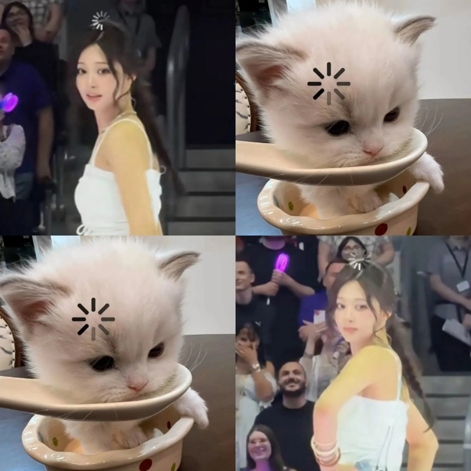 쯔위 (TWICE)의 최신 사진